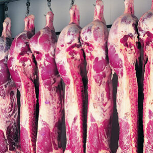 Beef Carcasses