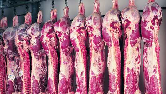 Beef Carcasses
