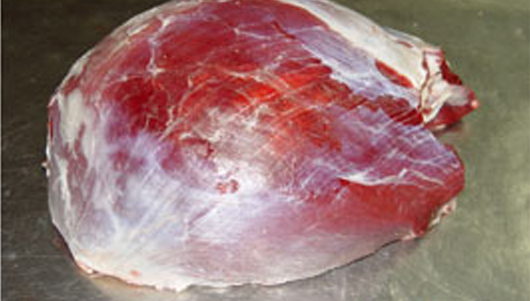 Beef Cuts Knuckle