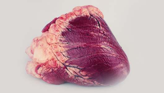 Beef Heart