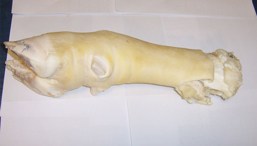 Frozen Beef Feet