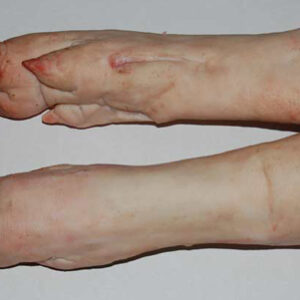Frozen Pork Feet